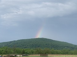 Mountain Rainbow